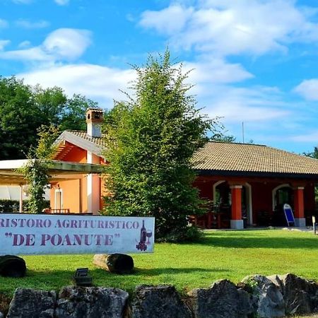 Alloggio E Agriturismo De Poanute Faedis Extérieur photo